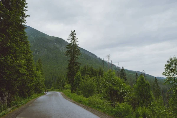 Camino de asfalto en la montaña — Foto de Stock