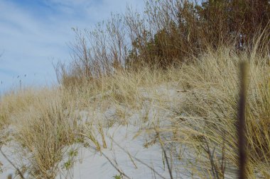 Sunny beach kumulları ile