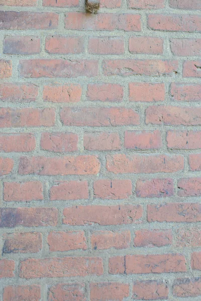 Červené cihly zeď textura grunge pozadí — Stock fotografie