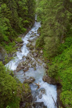 Dağlar ve çayırlar küçük bir dere ile