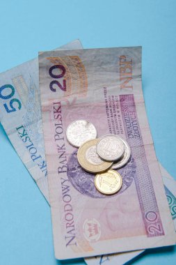 Banknot ve madeni paraların, Polonya Zlotisi