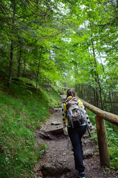 Kvinna vandrare vandring på leden — Stockfoto