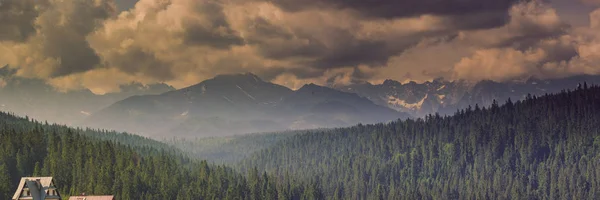 Horský Les vztahuje mlhy — Stock fotografie