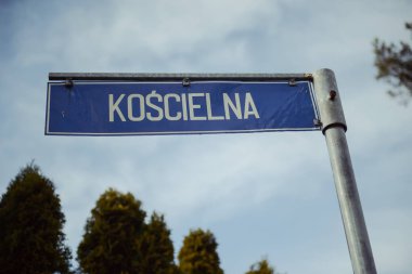 Ormandaki dolambaçlı yol işareti