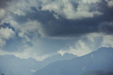 Tarafından sis kaplı dağ orman