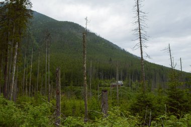Dağları'nda görkemli manzara