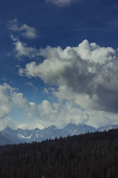 Sommer Berge grünes Gras und blauer Himmel Landschaft — Stockfoto