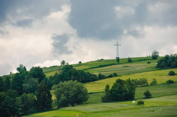 Пагорби, покриті зеленою травою під блакитним небом — стокове фото