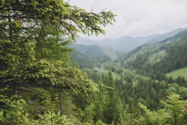 Paisaje de montaña en verano — Foto de Stock