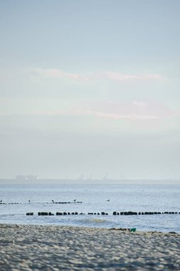 plaj ve yaz aylarında Baltık Denizi