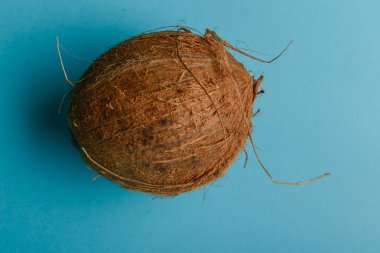 Üzerinde mavi arka plan izole Hindistan cevizi. Yüksek çözünürlük