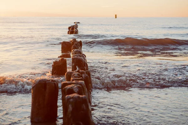 Rompeolas Mar Báltico Sobre Atardecer Verano — Foto de Stock