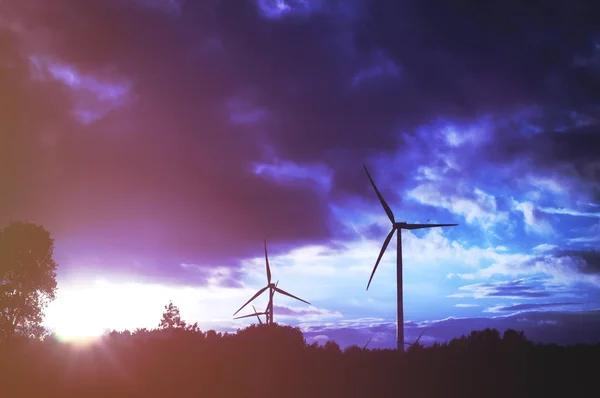 Wind Turbine Farm Sunset Renewable Energy — Stock Photo, Image