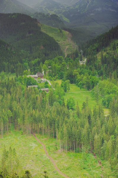 Valley in high mountain. Natural composition. Spring time.