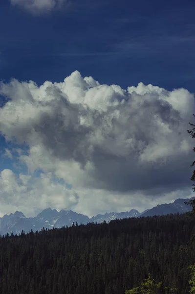 Sommer Berge Grünes Gras Und Blauer Himmel Landschaft — Stockfoto