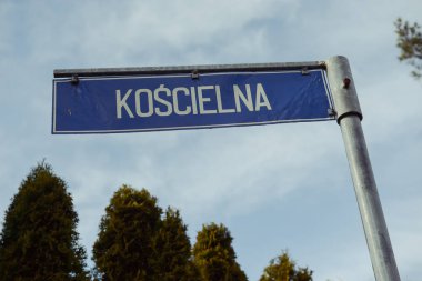 Ormandaki dolambaçlı yol işareti