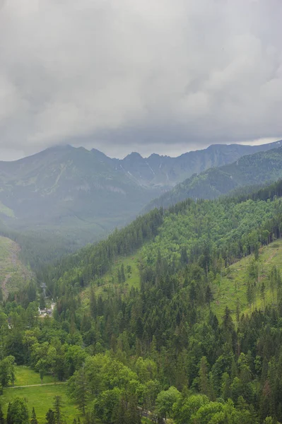 Vista dei Monti Tatra dal sentiero escursionistico. Polonia . — Foto Stock