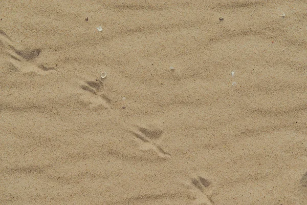 Närbild av sandmönster av en strand på sommaren — Stockfoto