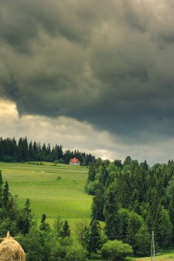 Mavi gökyüzünün altında yeşil çim kaplı tepeler
