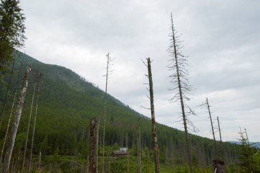 Dağları'nda görkemli manzara