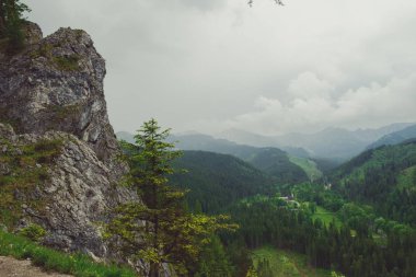 Yazın dağ manzarası