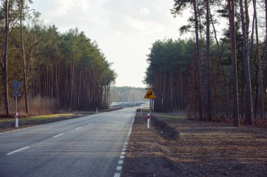 Asfalt yol Üstten Görünüm