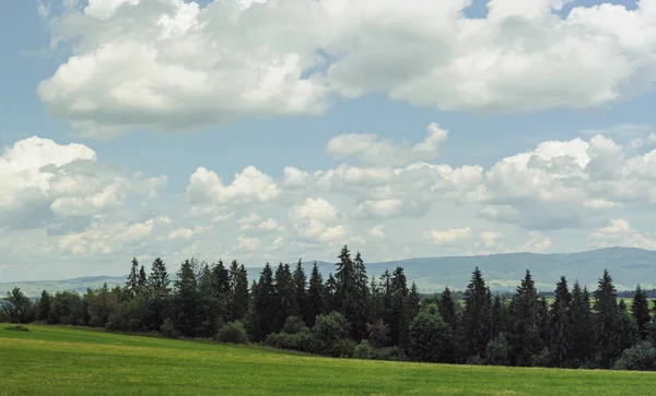 Пагорби, покриті зеленою травою під блакитним небом — стокове фото