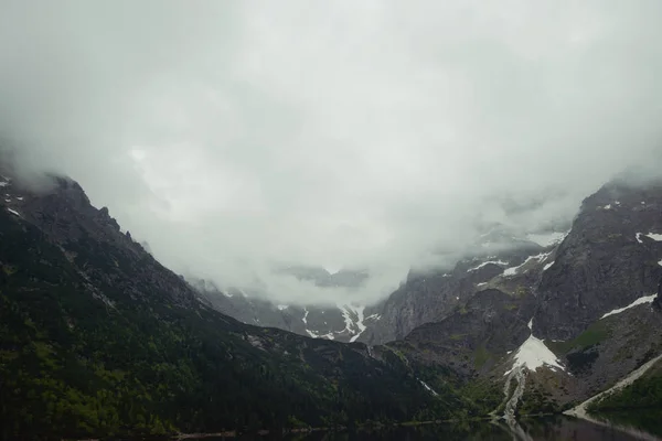 Foggy mountain in summer morning