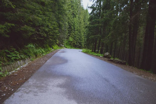 Camino de asfalto en la montaña — Foto de Stock