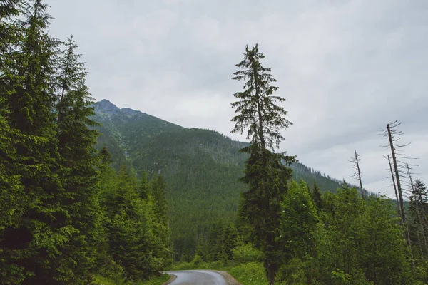 Camino de asfalto en la montaña — Foto de Stock