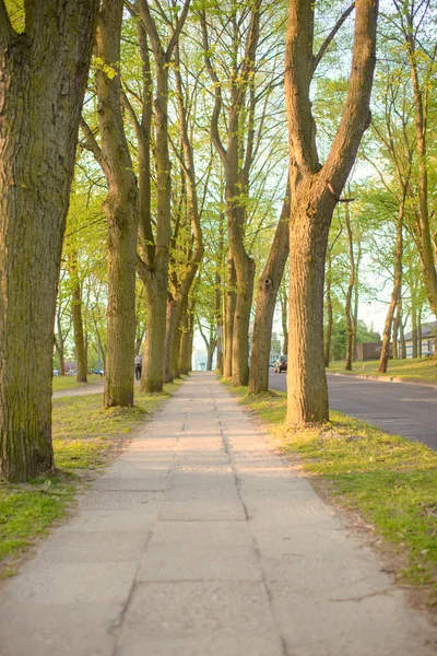 Le trottoir municipal suit le long d'une route locale — Photo