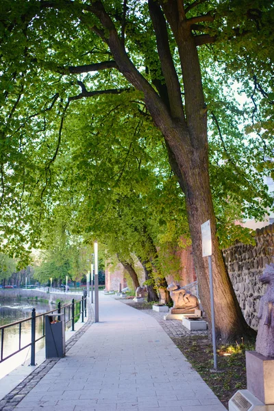 Uma imagem de Stone Pathway — Fotografia de Stock