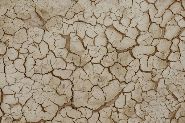 Terreno rachado, Terra seca . — Fotografia de Stock