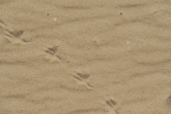 Nahaufnahme des Sandmusters eines Strandes im Sommer — Stockfoto