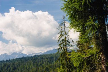 Yaz dağları yeşil çimenler ve mavi gökyüzü manzarası
