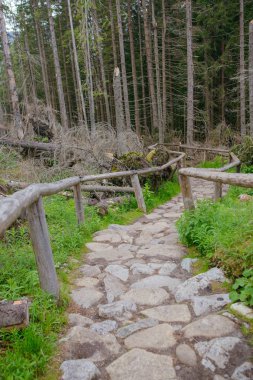 Dağlarda yürüyüş yolu