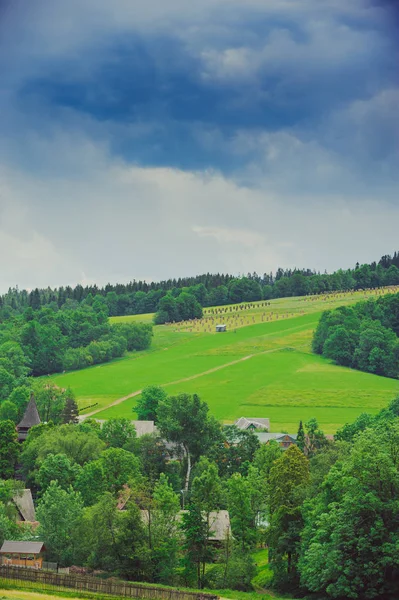 Hügel mit grünem Gras unter blauem Himmel — Stockfoto