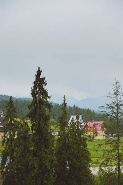 Beau paysage de montagne avec léger brouillard — Photo