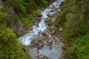 Dağlar ve çayırlar küçük bir dere ile