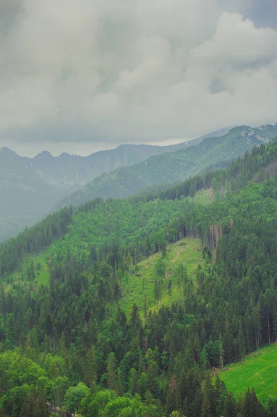 하이킹 코스에서 Tatra 산의 보기입니다. 폴란드. — 스톡 사진