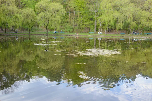 Весняний парк. Озеро в весняному парку. Весняний краєвид. — стокове фото
