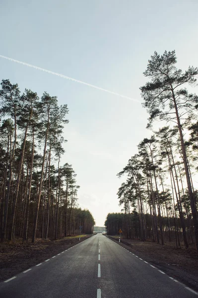 Asfaltová silnice a lesní — Stock fotografie