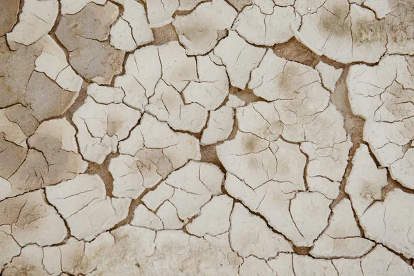 Terreno rachado, Terra seca . — Fotografia de Stock