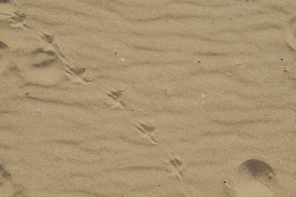 Närbild av sandmönster av en strand på sommaren — Stockfoto