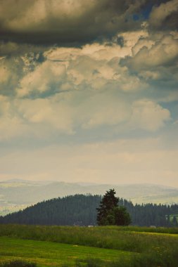 Mavi gökyüzünün altında yeşil çim kaplı tepeler