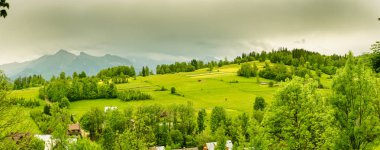 Yaz dağları yeşil çimenler ve mavi gökyüzü manzarası