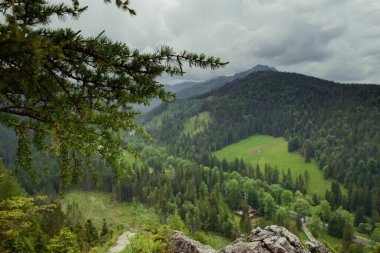 Yazın dağ manzarası