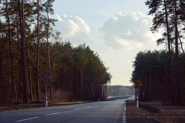 Asfalt road ovanifrån — Stockfoto