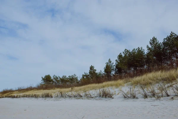 Sunny beach with sand dunes — Stock Photo, Image