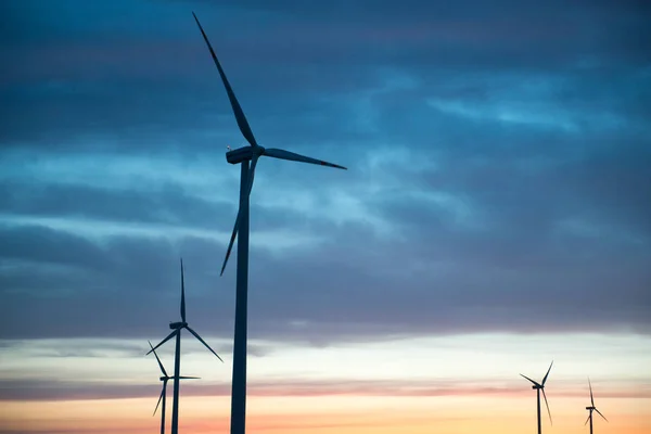 Opravené windturbines při západu slunce — Stock fotografie